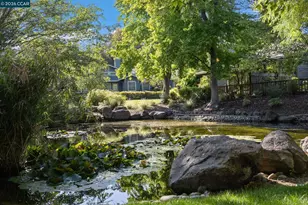 1254 Edgewater Ct, Walnut Creek, CA 94595 - Photo 61