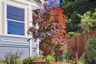 1712 Schiller St, Alameda, CA 94501 - Photo 67