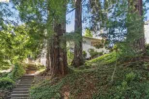 1113 Hillview Rd, Berkeley, CA 94708 - Photo 49