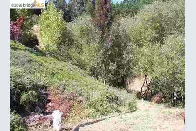 7150 Marlborough, Oakland, CA 94705 - Photo 23