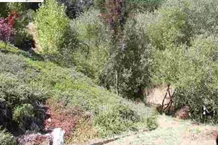 7150 Marlborough, Oakland, CA 94705 - Photo 23