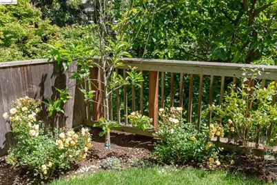 306 Wildwood Ave, Piedmont, CA 94611 - Photo 39