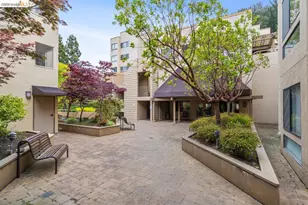 545 Pierce St, Albany, CA 94706 - Photo 55