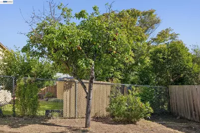 3039 Kansas St, Oakland, CA 94602 - Photo 45