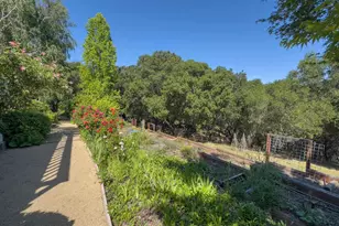 84 Quail Ln, Martinez, CA 94553 - Photo 41