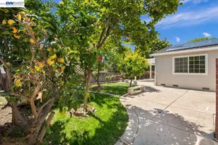 479 Mission Dr, Pleasanton, CA 94566 - Photo 31
