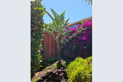 125 Paulette Way, Antioch, CA 94509 - Photo 1