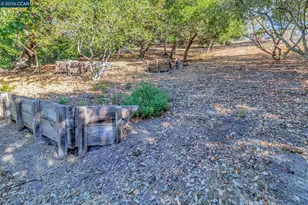 74 Yarrow Valley Ln, Orinda, CA 94563 - Photo 55