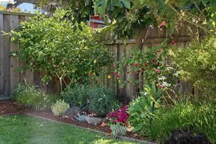 2210 Browning St, Berkeley, CA 94702 - Photo 37