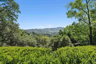 90 Overhill Rd, Orinda, CA 94563 - Photo 57