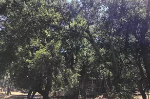 1929 Kilkare Rd, Sunol, CA 94586 - Photo 31