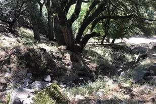 1929 Kilkare Rd, Sunol, CA 94586 - Photo 19