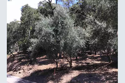 1929 Kilkare Road, Sunol, CA 94586 - Photo 33