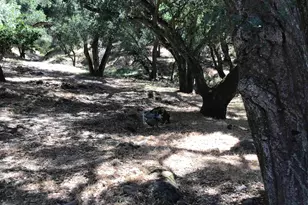 1929 Kilkare Rd, Sunol, CA 94586 - Photo 15