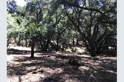 1929 Kilkare Road, Sunol, CA 94586 - Photo 13