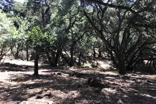 1929 Kilkare Rd, Sunol, CA 94586 - Photo 13
