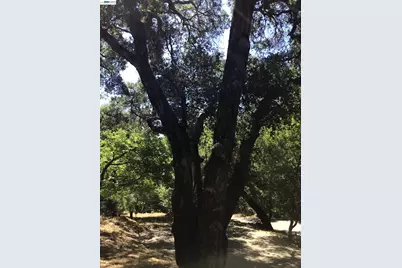 1929 Kilkare Road, Sunol, CA 94586 - Photo 25
