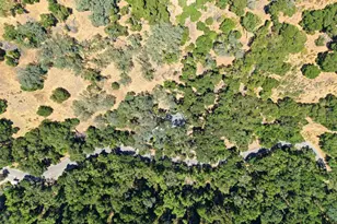 1929 Kilkare Rd, Sunol, CA 94586 - Photo 23