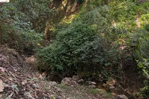 73 Kingston Rd, Kensington, CA 94707 - Photo 53