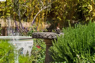73 Kingston Rd, Kensington, CA 94707 - Photo 43