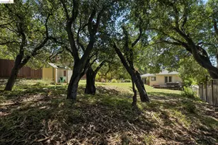 73 Kingston Rd, Kensington, CA 94707 - Photo 51