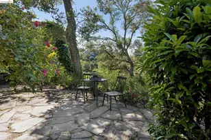 453 Scenic Ave, Piedmont, CA 94611 - Photo 79