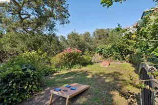 453 Scenic Ave, Piedmont, CA 94611 - Photo 81