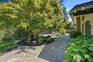 260 Corliss Dr, Moraga, CA 94556 - Photo 53