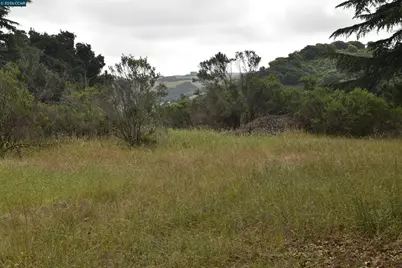 5309 Jensen Rd, Castro Valley, CA 94552 - Photo 7