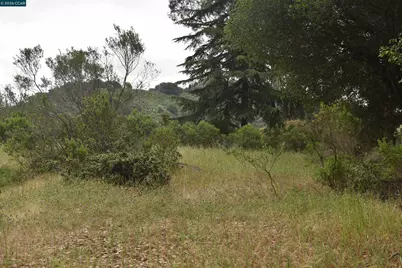 5309 Jensen Rd, Castro Valley, CA 94552 - Photo 5