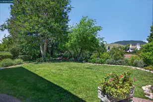 5303 Blackhawk Dr, Danville, CA 94506 - Photo 81