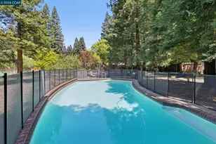 27 Shawn Ct, Alamo, CA 94507 - Photo 61