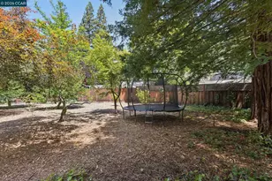 27 Shawn Ct, Alamo, CA 94507 - Photo 7