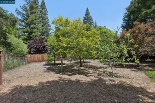27 Shawn Ct, Alamo, CA 94507 - Photo 63