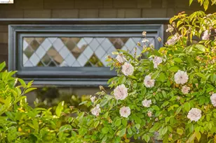 1490 Arch St, Berkeley, CA 94708 - Photo 55