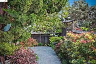 1429 Edith St, Berkeley, CA 94703 - Photo 31