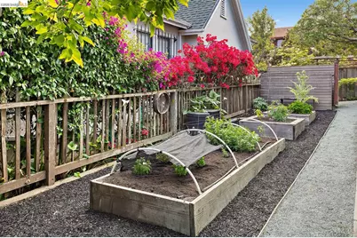 1429 Edith St, Berkeley, CA 94703 - Photo 29