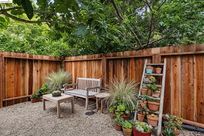 1744 Addison, Berkeley, CA 94703 - Photo 35