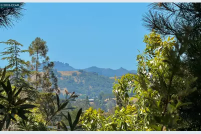 861 Holly Hill Dr, Walnut Creek, CA 94596 - Photo 39