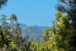 861 Holly Hill Dr, Walnut Creek, CA 94596 - Photo 39