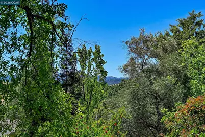 861 Holly Hill Dr, Walnut Creek, CA 94596 - Photo 27
