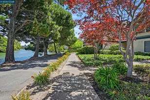 210 Carob Ln, Alameda, CA 94502 - Photo 5