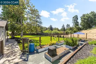19 Lynwood Pl, Moraga, CA 94556 - Photo 47