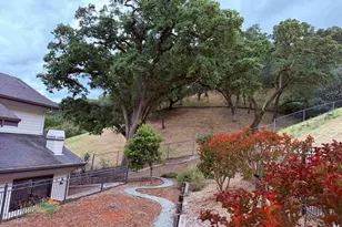 58 Saddle Rd, Walnut Creek, CA 94595 - Photo 39
