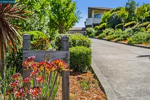 6 Tanglewood Ln, Lafayette, CA 94549 - Photo 3