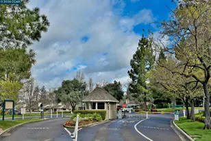 537 Rolling Hills Ln, Danville, CA 94526 - Photo 25