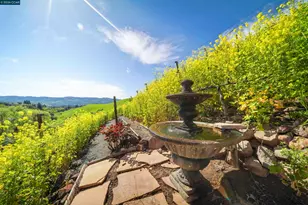 298 Barrington Ln, Alamo, CA 94507 - Photo 69