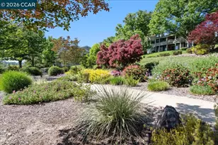 2633 Saklan Indian Dr, Walnut Creek, CA 94595 - Photo 43