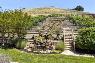 387 Golden Grass Dr, Alamo, CA 94507 - Photo 51