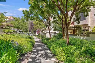 589 Pimlico Ct, Walnut Creek, CA 94597 - Photo 25